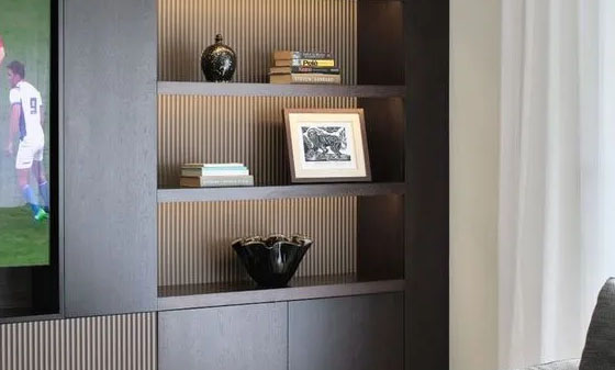 living room Storage Solutions